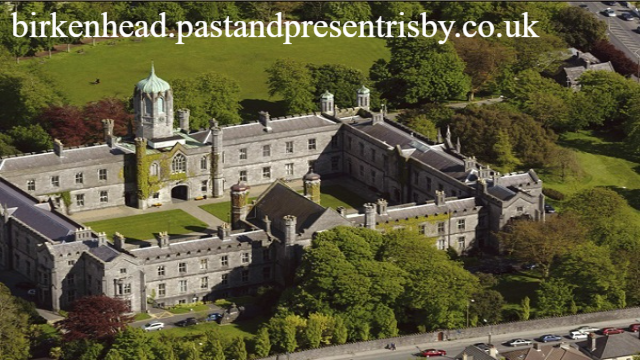 4 Rekomendasi Universitas Terbaik di Irlandia